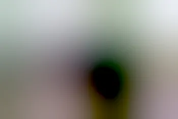 image 16